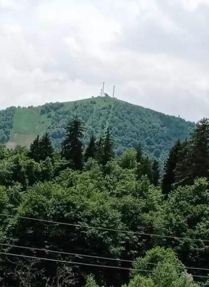 Hotel Archi Kokhta Bakuriani Zewnętrze zdjęcie